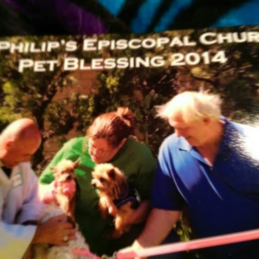 Meet your Posher, Debra